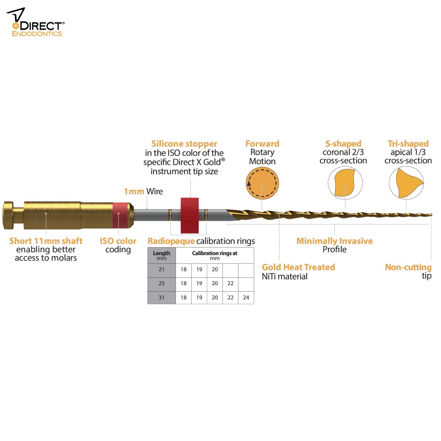 Direct X Gold® Minimally Invasive - Incidental