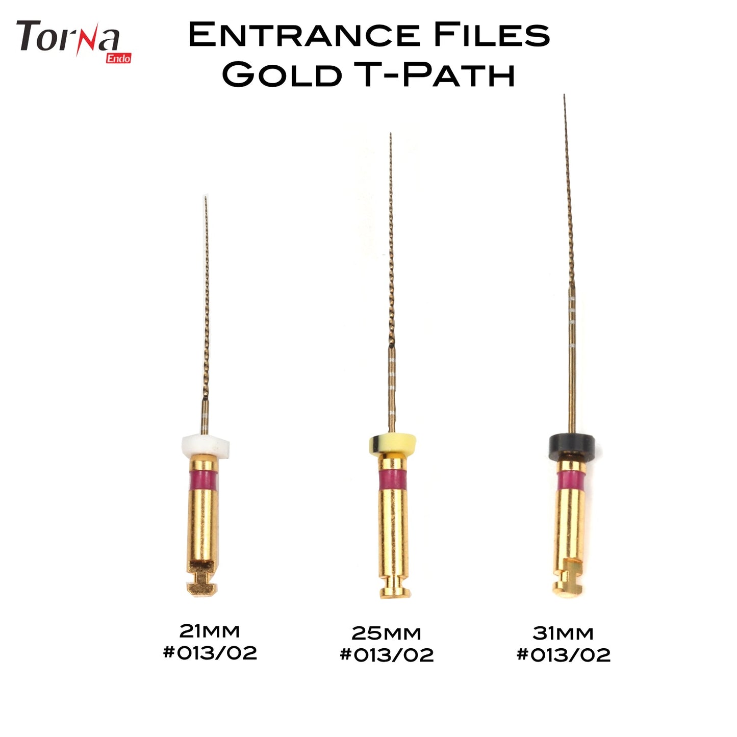 Entrance Files Gold T - Path (#13/02) - Incidental