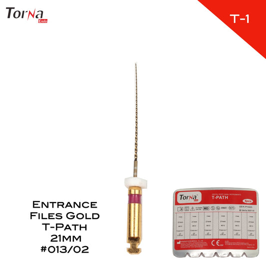 Entrance Files Gold T - Path (#13/02) - Incidental